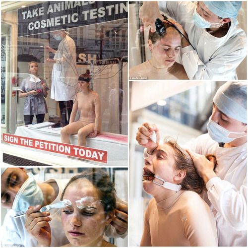 8132ae22a6b58d29f21951223b6701f6