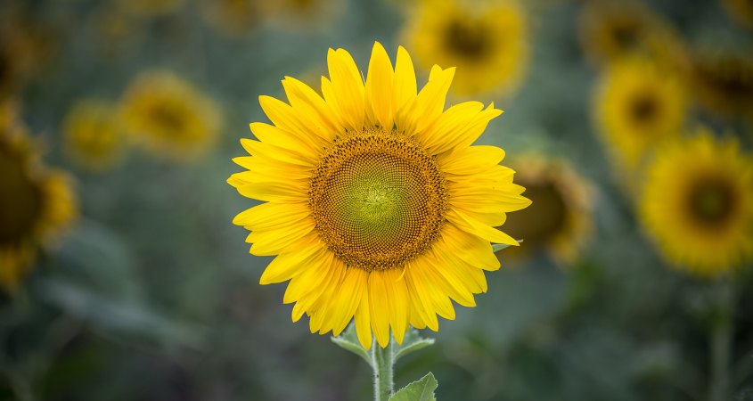 Photo by Matt Palmer on Unsplash