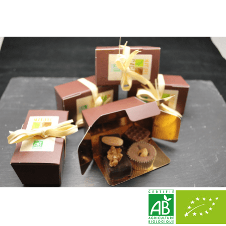 Chocolats nature cacao